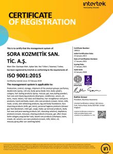 ISO 9001 2015