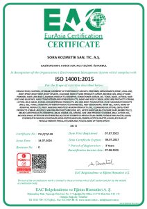 ISO 14001 2015
