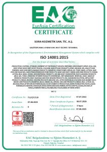 ISO 14001 2015